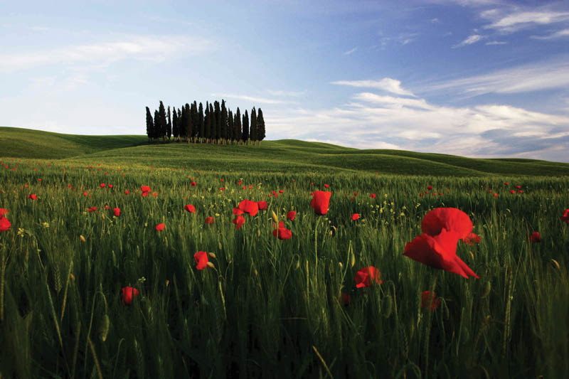 FESTIVAL DELLA TERRA