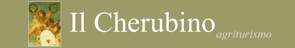 Il Cherubino