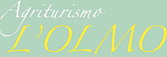 L'Olmo